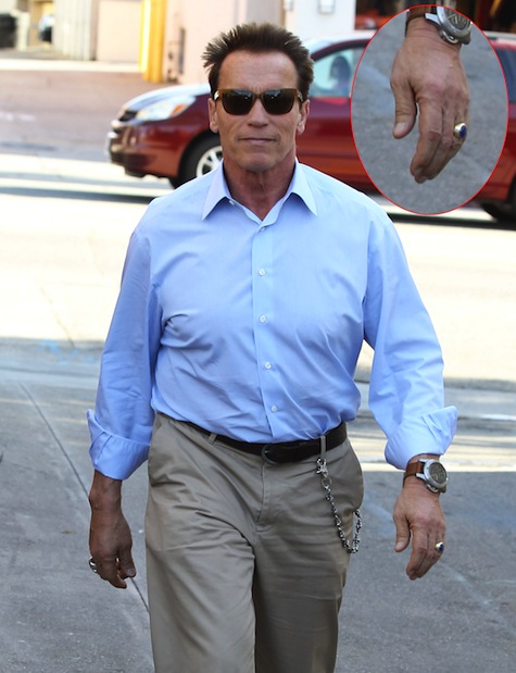 Arnold Schwarzenegger Photo (  )    /  - 5