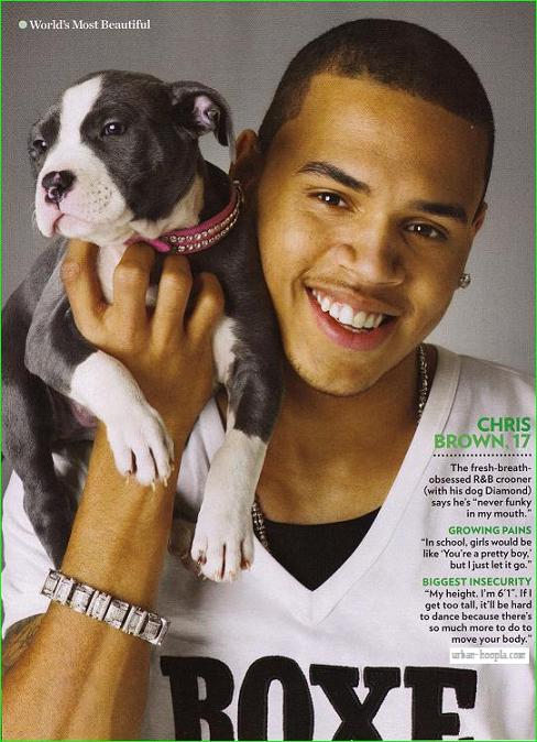 Chris Brown Photo (  )  