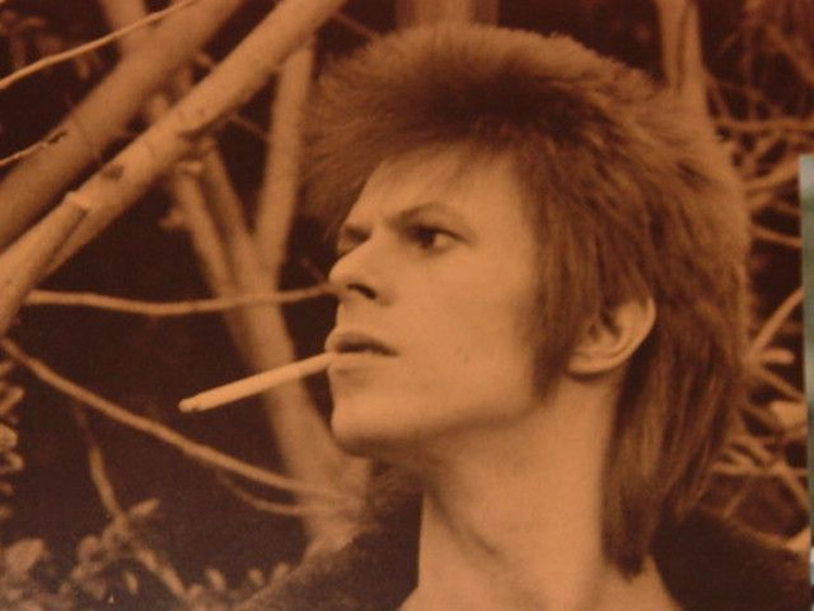 David Bowie Photo (  )   /  - 2