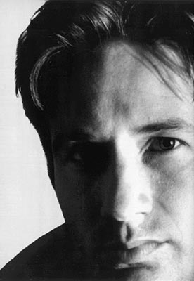 David Duchovny Photo (  )    /  - 9