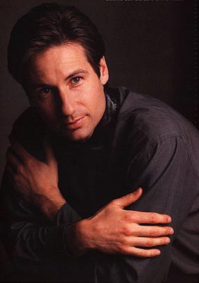 David Duchovny Photo (  )    /  - 12