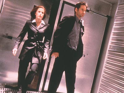 David Duchovny Photo (  )    /  - 23