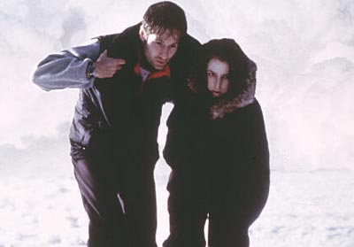 David Duchovny Photo (  )    /  - 24