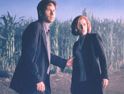 David Duchovny Photo (  )    /  - 25