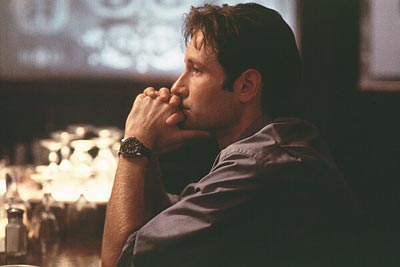 David Duchovny Photo (  )    /  - 26