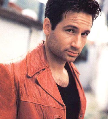 David Duchovny Photo (  )    /  - 27