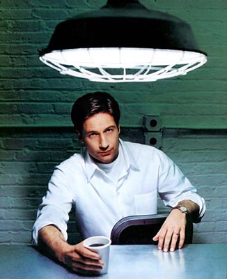 David Duchovny Photo (  )    /  - 37
