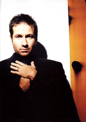 David Duchovny Photo (  )    /  - 43