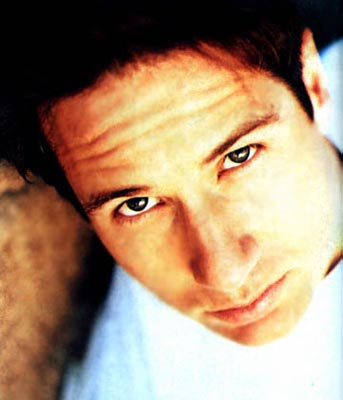 David Duchovny Photo (  )    /  - 45