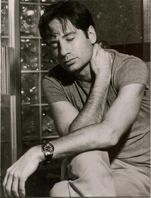 David Duchovny Photo (  )    /  - 48