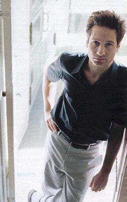 David Duchovny Photo (  )    /  - 62