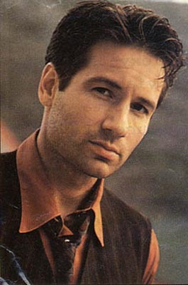 David Duchovny Photo (  )    /  - 65