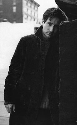 David Duchovny Photo (  )   