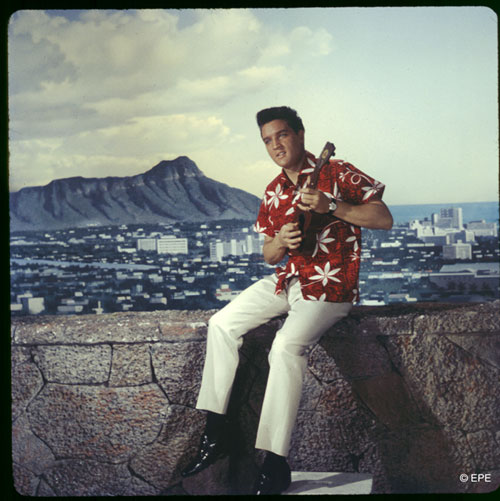 Elvis Presley Photo (  )    /  - 26