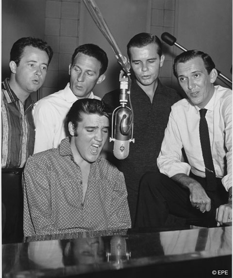 Elvis Presley Photo (  )   