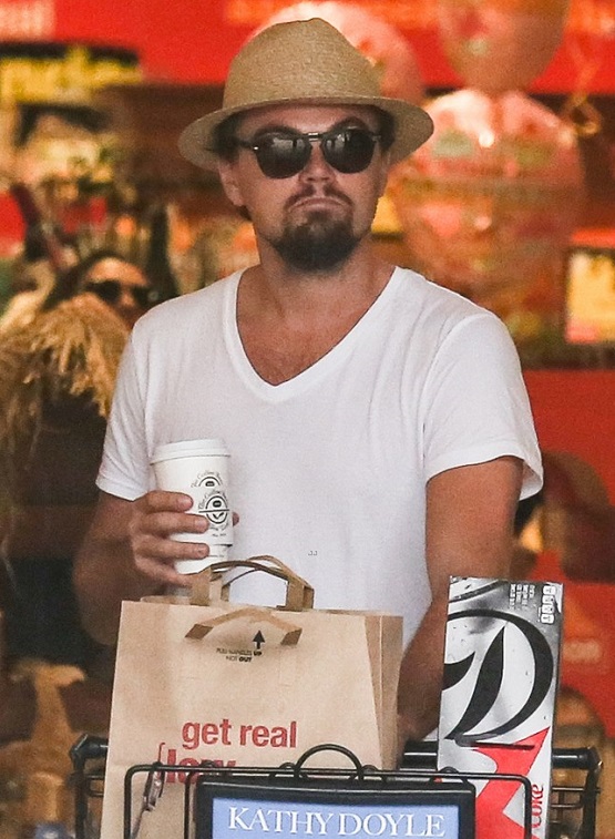 Leonardo DiCaprio Photo (   )   /  - 15