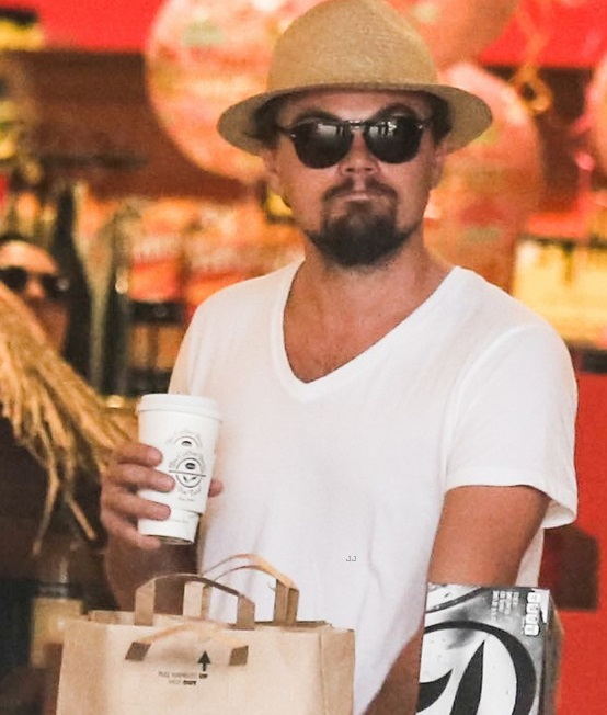 Leonardo DiCaprio Photo (   )   /  - 16