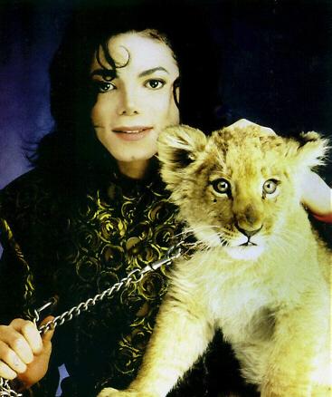 Michael Jackson Photo (  )  ,  - /  - 23