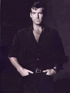 Pierce Brosnan Photo (  )   /  - 9