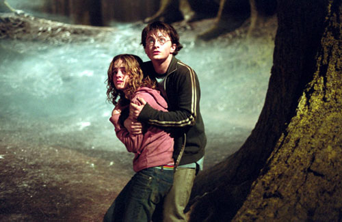 Rupert Grint Photo (  )   