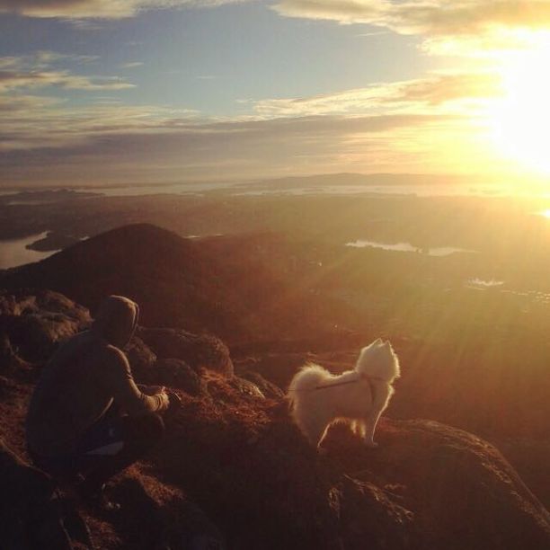 ����� ����� (Sonny Alven) ���� - ������, ����� ����� / �������� - 167