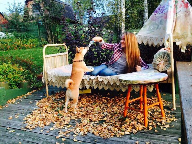 ����� ���, Alaine ���� - ������ / �������� - 68