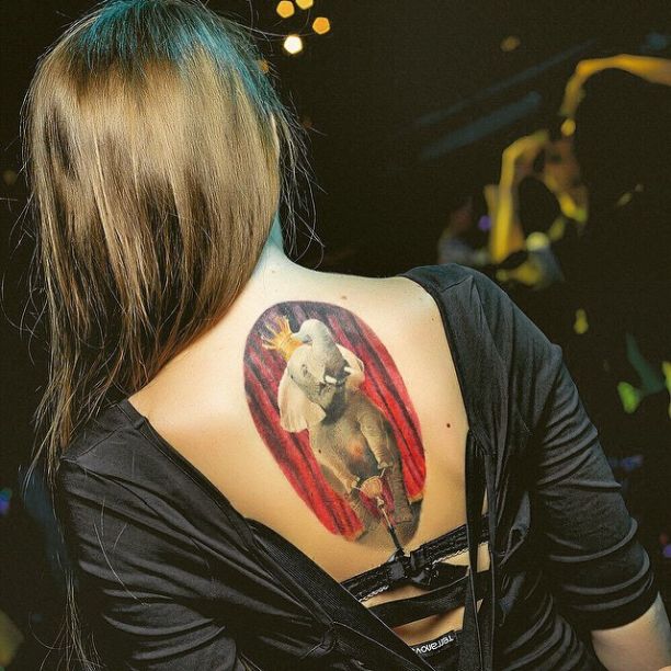 ����� ���, Alaine ���� - ������ / �������� - 97