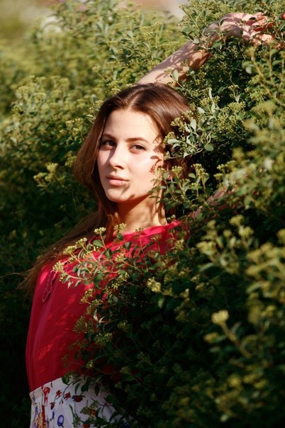 ��������� ����������� ���� (Anastasiya Kojevnikova Photo) ���������� ������, ��������� ������ ������ ����������� ������� / �������� - 81