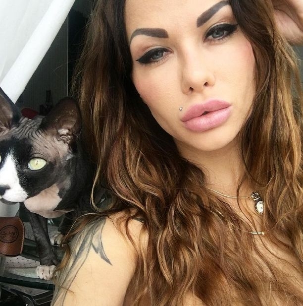    - ,  All in fashion, NL International Energy Diet,  /  - 280