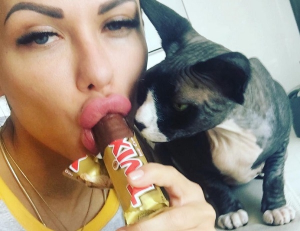    - ,  All in fashion, NL International Energy Diet,  /  - 282