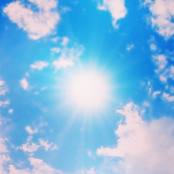 Lizabeth ��������� ������� ���� (Elizaveta Haykova Photo) ������, ����������, ����� ����� / �������� - 520