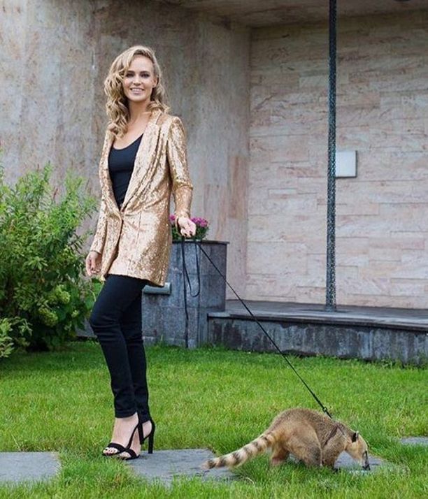 ������� (������ ������) ���� - ������, ����������� / �������� - 157