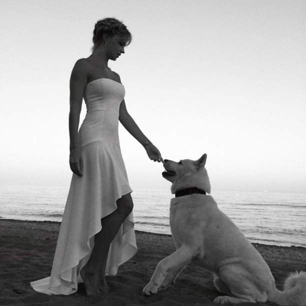 ������� (������ ������) ���� - ������, ����������� / �������� - 325