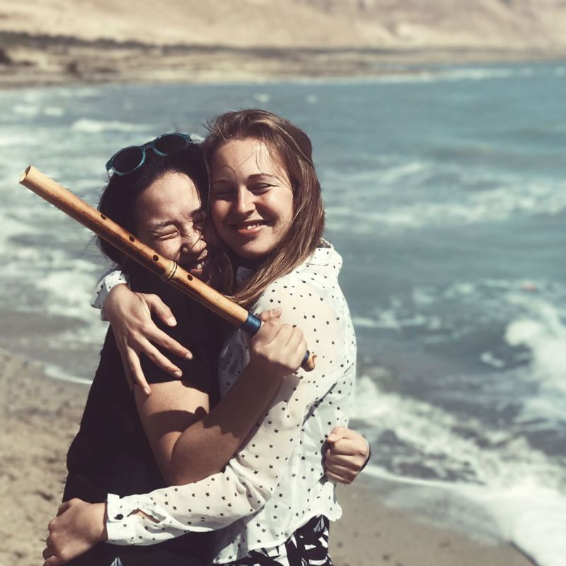    - ,     2017 /  - 231