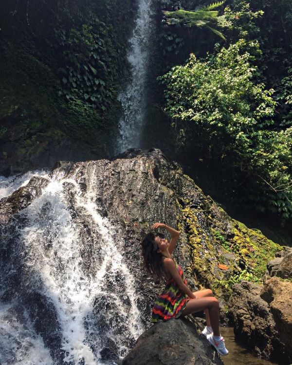 Zivert ( )  -  /  - 396