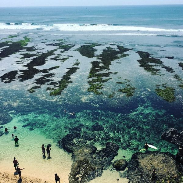 Zivert ( )  -  /  - 405