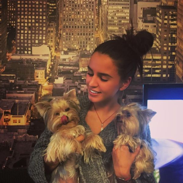 Zivert ( )  -  /  - 410