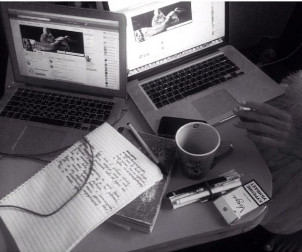 Zivert (���� ������) ���� - ������ / �������� - 548