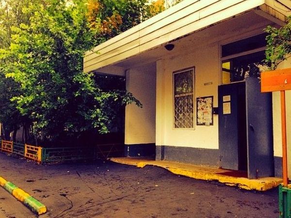 Zivert (���� ������) ���� - ������ / �������� - 551