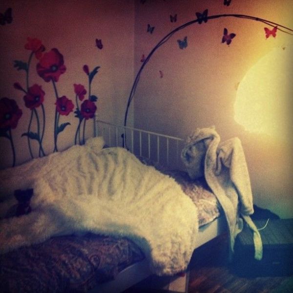 Zivert ( )  -  /  - 670