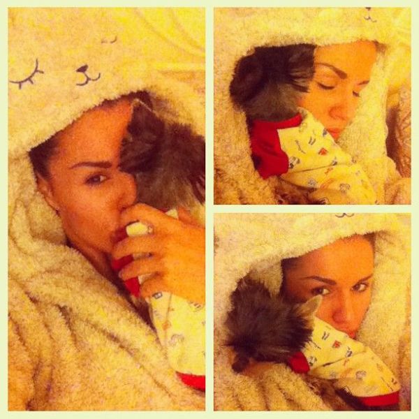 Zivert ( )  -  /  - 672