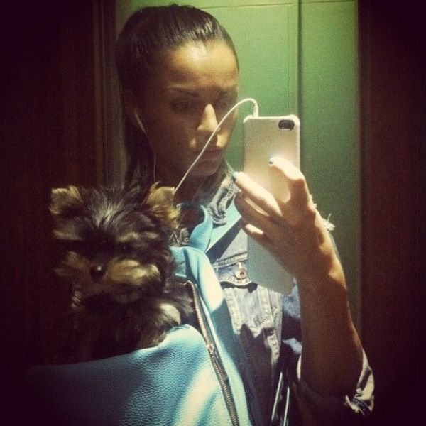 Zivert ( )  -  /  - 682