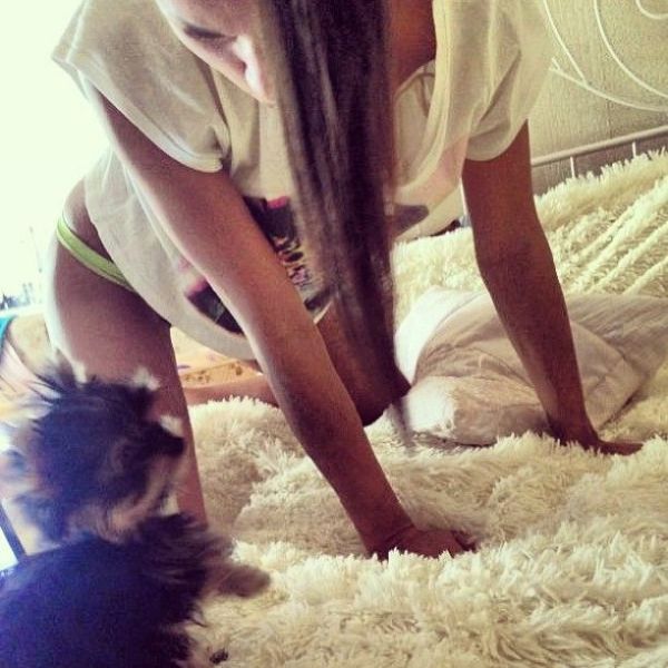 Zivert ( )  -  /  - 683