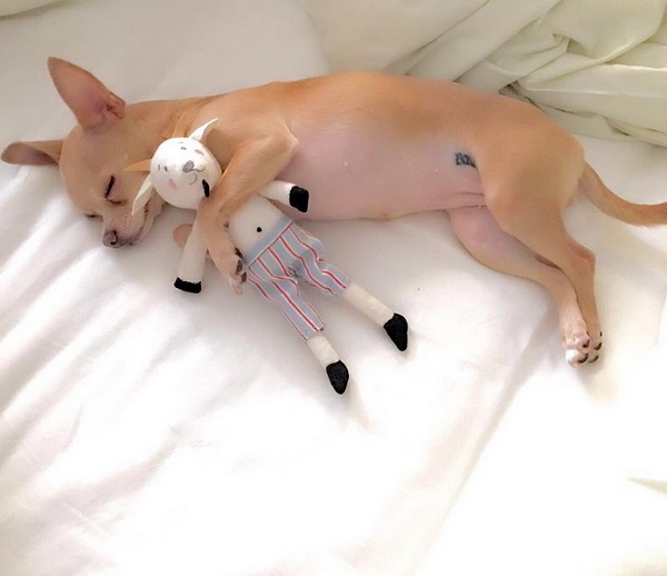 ���� ���� ���� - ������� ���-2 / �������� - 88