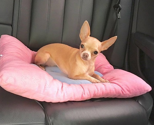 ���� ���� ���� - ������� ���-2