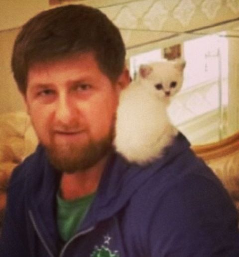 ������ ������ ���� (Kseniya Sobchak Photo) �������, ����������� ������� ��� 2, ������ / �������� - 404