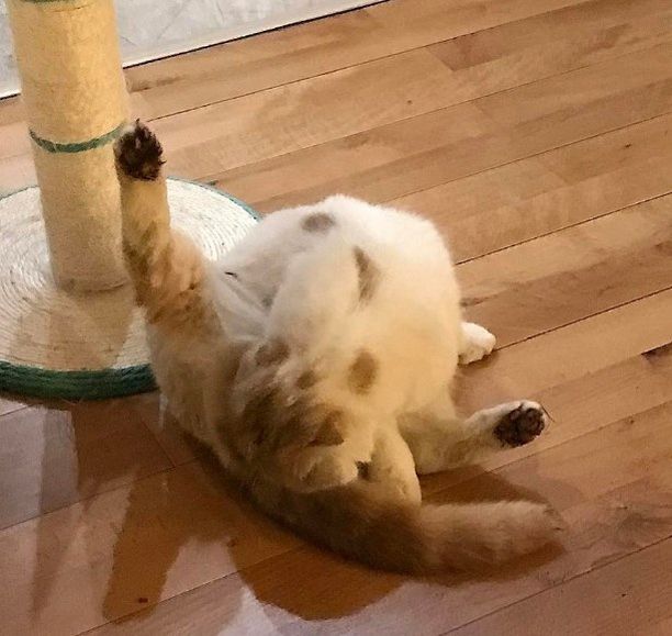    (Lera Kudryavtseva Photo)  ,  -,  /  - 100