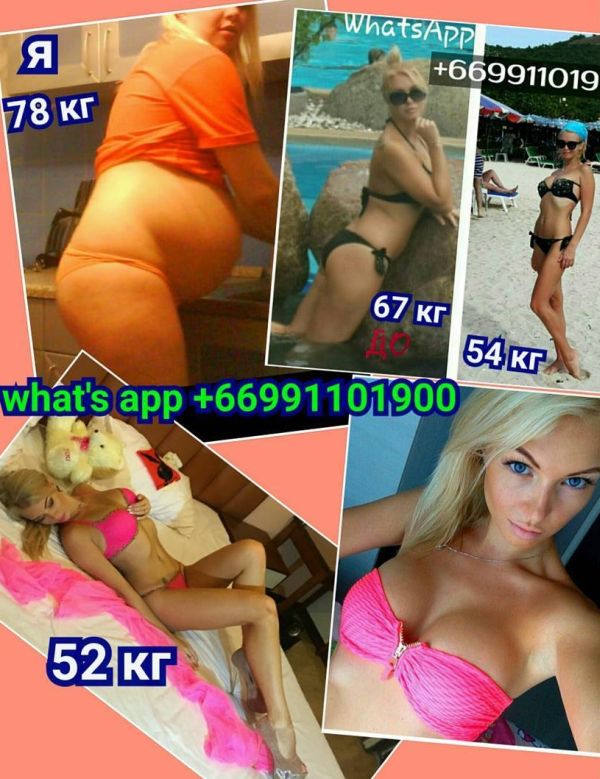 ����� ����� ���� - ��������� ���-2 / �������� - 72