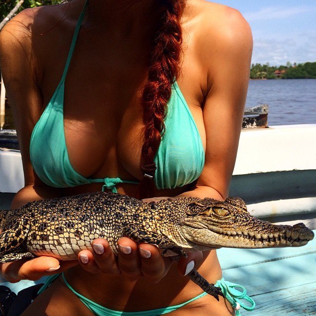   (Mary Shum)  -  Mavrin,    /  - 269