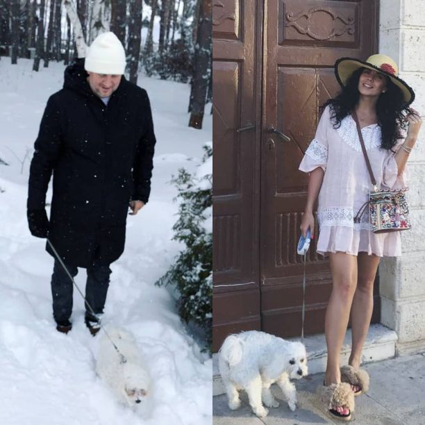     (Potap Photo)       /  - 217